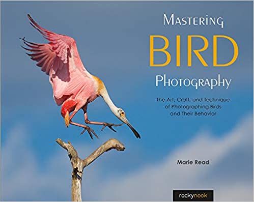 Mastering Bird Photography