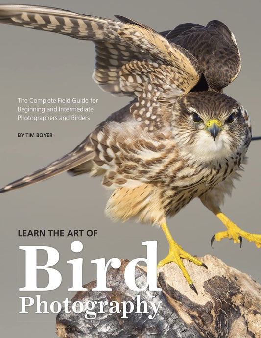 Learn the Art of Bird Photography